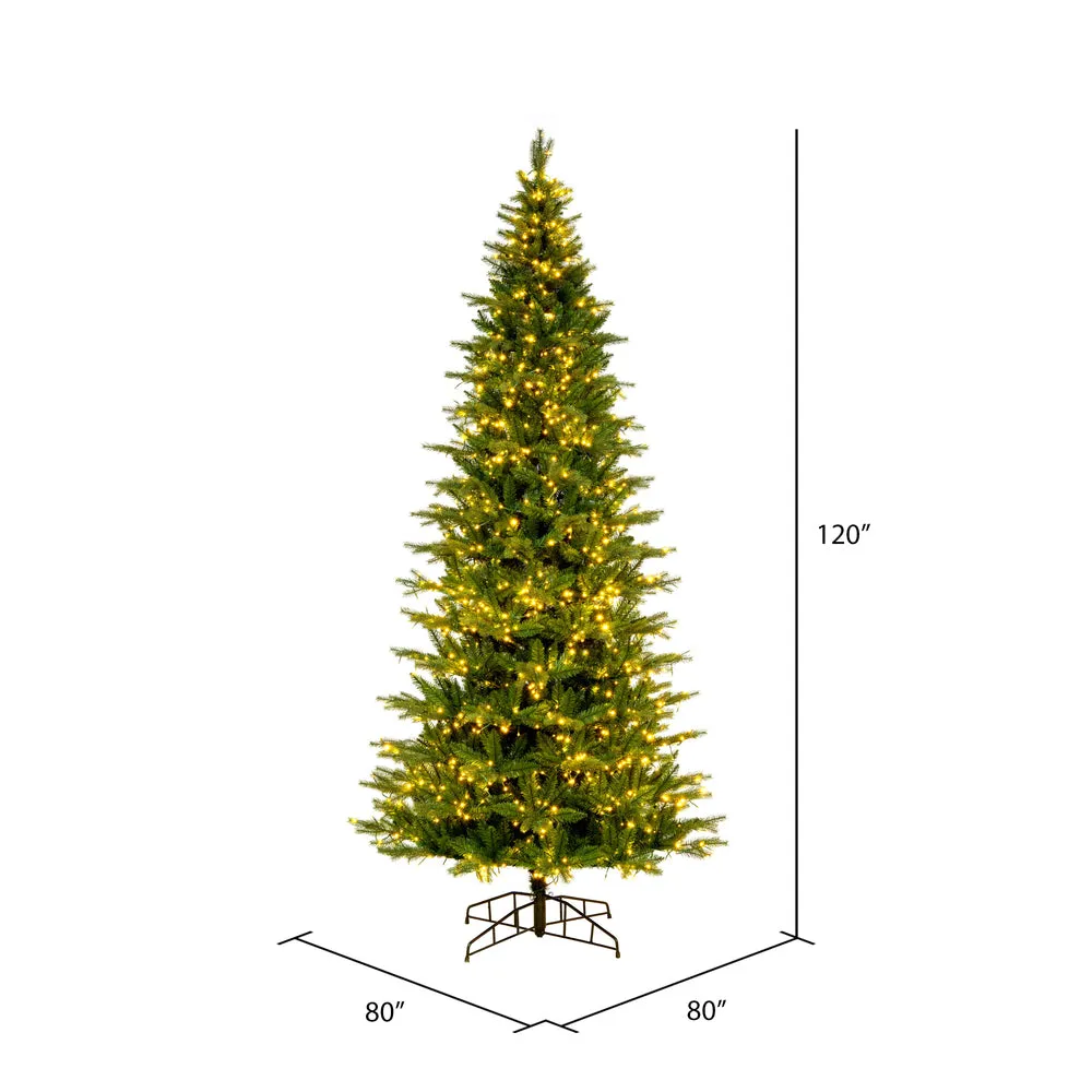 10' x 56" Brighton Pine Artificial Christmas Tree 3mm LED Color Changing Lights