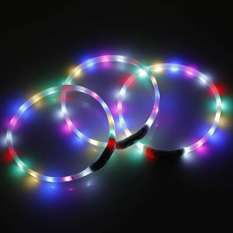 2X LED Small Dog Collar 40CM Adjustable USB Rechargeable Safety